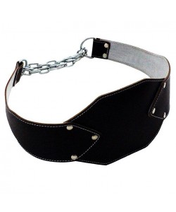 Dipping Belt